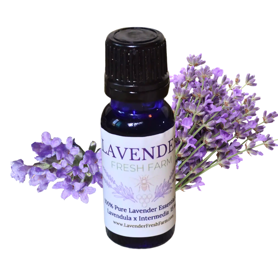 Lavender Essential Oil, Organic, Pure Calm for Skin, Sleep & Serenity