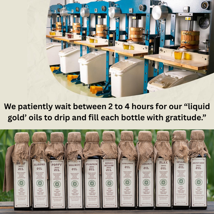 Raw, Organic Cold-Pressed Nut & Seed Oils (Food Grade) - Live Oil by Lesna (Almond, Walnut, Sesame, Mustard & More)